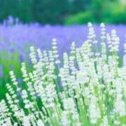 ヒメ日記 2025/05/23 22:04 投稿 ゆきな ニューヨークニューヨーク