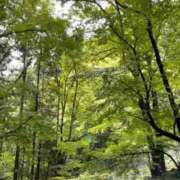 ヒメ日記 2025/05/25 15:54 投稿 ゆきな ニューヨークニューヨーク