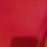 ヒメ日記 2025/06/15 15:54 投稿 ゆきな ニューヨークニューヨーク