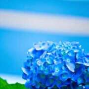 ヒメ日記 2025/06/21 15:58 投稿 ゆきな ニューヨークニューヨーク