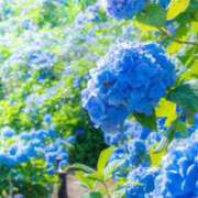 ヒメ日記 2025/06/22 15:52 投稿 ゆきな ニューヨークニューヨーク