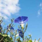 ヒメ日記 2025/07/18 16:17 投稿 ゆきな ニューヨークニューヨーク