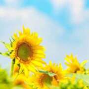 ヒメ日記 2025/08/22 15:56 投稿 ゆきな ニューヨークニューヨーク