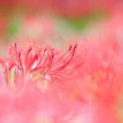 ヒメ日記 2025/09/15 16:00 投稿 ゆきな ニューヨークニューヨーク