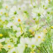 ヒメ日記 2025/09/29 22:04 投稿 ゆきな ニューヨークニューヨーク