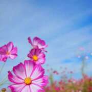 ヒメ日記 2025/10/03 16:02 投稿 ゆきな ニューヨークニューヨーク