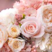 ヒメ日記 2025/10/26 22:03 投稿 ゆきな ニューヨークニューヨーク