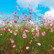 ヒメ日記 2025/10/27 15:49 投稿 ゆきな ニューヨークニューヨーク