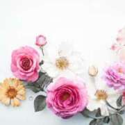 ヒメ日記 2025/11/02 15:58 投稿 ゆきな ニューヨークニューヨーク