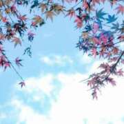 ヒメ日記 2025/11/03 15:52 投稿 ゆきな ニューヨークニューヨーク