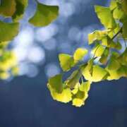 ヒメ日記 2025/11/14 16:02 投稿 ゆきな ニューヨークニューヨーク