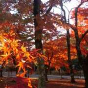 ヒメ日記 2025/11/16 15:52 投稿 ゆきな ニューヨークニューヨーク