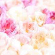 ヒメ日記 2025/11/16 22:08 投稿 ゆきな ニューヨークニューヨーク