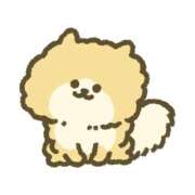 ヒメ日記 2025/11/30 15:53 投稿 ゆきな ニューヨークニューヨーク