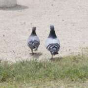 ゆきな こんにちは☀️ ニューヨークニューヨーク