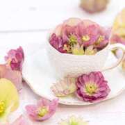 ゆきな 本日も ニューヨークニューヨーク