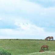 ヒメ日記 2025/12/28 15:53 投稿 ゆきな ニューヨークニューヨーク