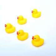 ヒメ日記 2026/02/20 15:54 投稿 ゆきな ニューヨークニューヨーク