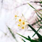 ゆきな こんにちは☁️ ニューヨークニューヨーク