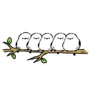 ヒメ日記 2026/03/08 16:43 投稿 ゆきな ニューヨークニューヨーク