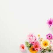 ヒメ日記 2026/03/15 22:09 投稿 ゆきな ニューヨークニューヨーク