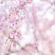 ヒメ日記 2026/03/16 15:59 投稿 ゆきな ニューヨークニューヨーク