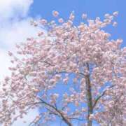 ヒメ日記 2026/03/29 15:55 投稿 ゆきな ニューヨークニューヨーク