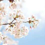 ヒメ日記 2026/03/30 16:04 投稿 ゆきな ニューヨークニューヨーク