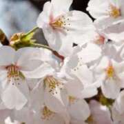 ヒメ日記 2026/04/03 22:09 投稿 ゆきな ニューヨークニューヨーク