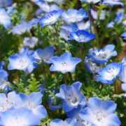 ゆきな 出勤しました☀️ ニューヨークニューヨーク