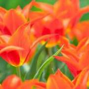 ヒメ日記 2026/04/20 15:56 投稿 ゆきな ニューヨークニューヨーク