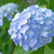 ヒメ日記 2026/06/01 15:59 投稿 ゆきな ニューヨークニューヨーク