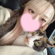 ヒメ日記 2026/02/28 03:03 投稿 うた フロンティア