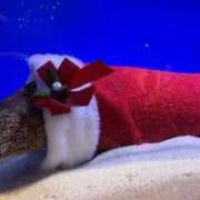 ヒメ日記 2025/11/24 10:12 投稿 さき スピードエコ難波店