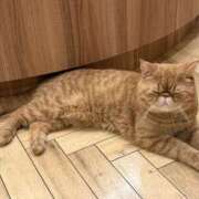 さき さき（エコ難波店） スピードエコ難波店