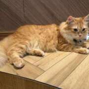 ヒメ日記 2026/05/10 10:11 投稿 さき スピードエコ難波店