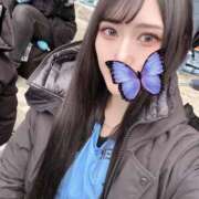 ヒメ日記 2026/02/12 07:36 投稿 みう【美脚高身長JD】 STELLA NEXT－ステラネクスト－