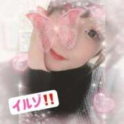 ヒメ日記 2025/07/29 16:03 投稿 みゆき FROZEN(フローズン)