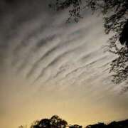 ヒメ日記 2025/11/14 02:36 投稿 なな（P) 神奈川小田原ちゃんこ