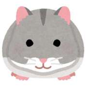 ヒメ日記 2026/02/20 20:38 投稿 なな（P) 神奈川小田原ちゃんこ