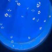 なな（P) こんにちは 神奈川小田原ちゃんこ