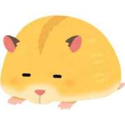 なな（P) こんばんは！ 神奈川小田原ちゃんこ