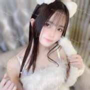 ヒメ日記 2025/02/12 12:26 投稿 るな C.C.CATS