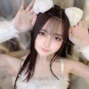 ヒメ日記 2025/02/22 14:07 投稿 るな C.C.CATS