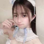 ヒメ日記 2025/02/24 12:47 投稿 るな C.C.CATS