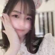 ヒメ日記 2025/03/02 11:47 投稿 るな C.C.CATS