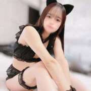 ヒメ日記 2025/03/04 20:07 投稿 るな C.C.CATS