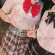 ヒメ日記 2025/03/09 22:48 投稿 るな C.C.CATS