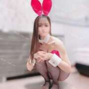 ヒメ日記 2025/03/11 09:07 投稿 るな C.C.CATS