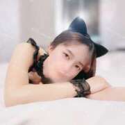 ヒメ日記 2025/03/21 07:07 投稿 るな C.C.CATS